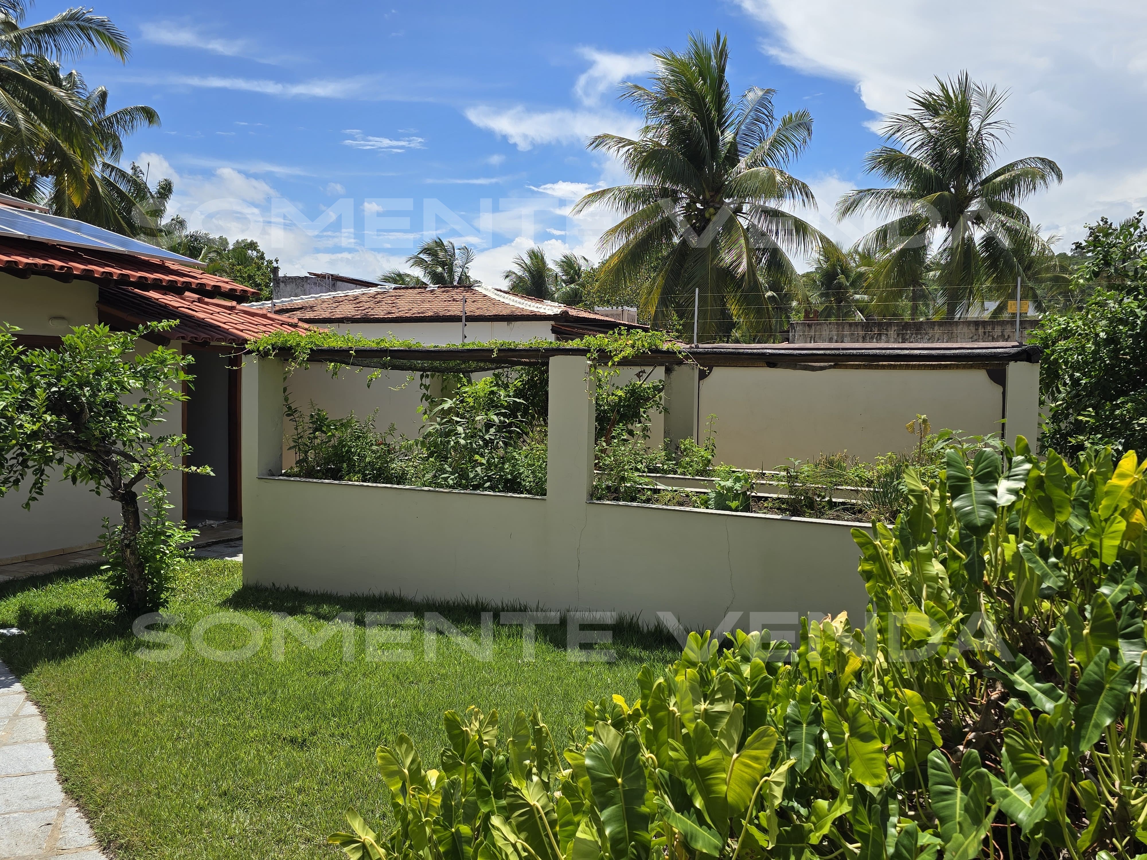 Área de cultivo e horta